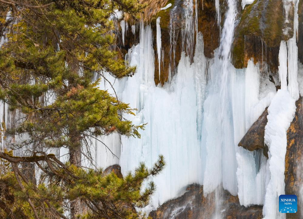 Intl tourism festival featuring frozen waterfalls opens at Jiuzhaigou National Park(图6)