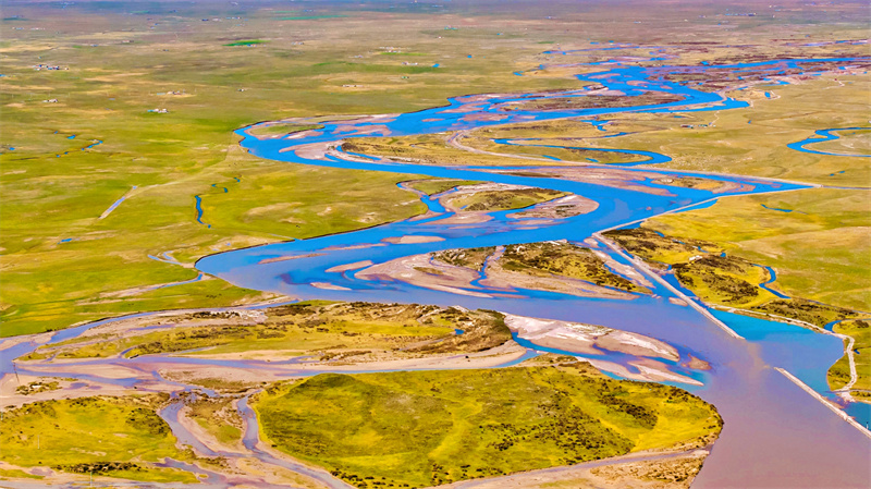 Vibrant autumn in Qinghai Lake, Chinas largest inland saltwater lake(图7)