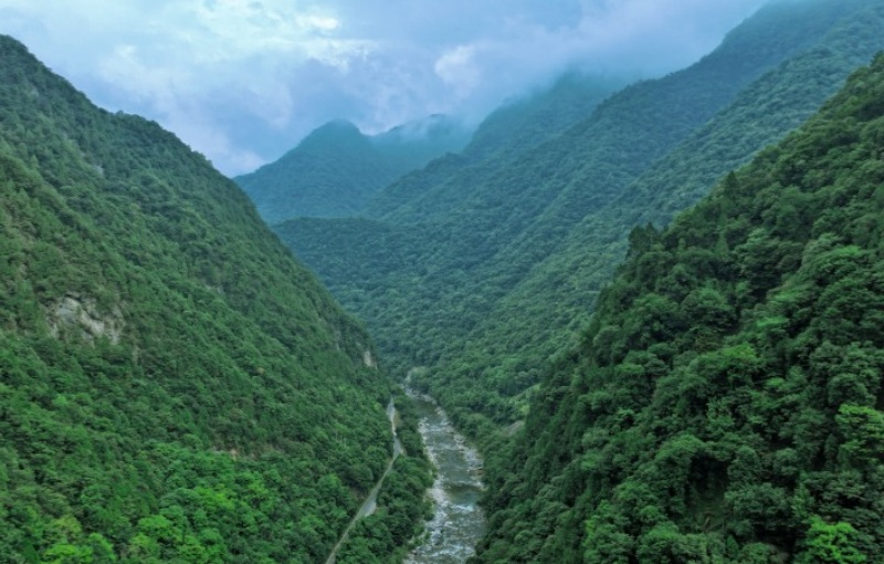 Ecological restoration transforms NW China’s Shaanxi(图4)