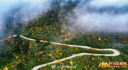 Like a poem or a painting! The colorful forest of Mount Emei welcomes its best viewing period(图2)