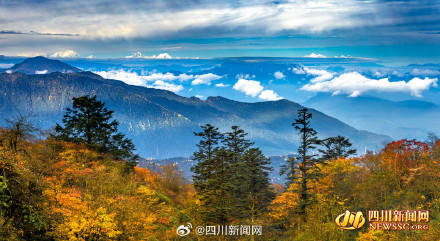 Like a poem or a painting! The colorful forest of Mount Emei welcomes its best viewing period(图4)