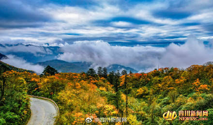 Like a poem or a painting! The colorful forest of Mount Emei welcomes its best viewing period(图9)