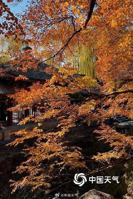 The autumn charm of the Summer Palace in Beijing is strong, and the ancient architecture and colorful leaves complement each other beautifully(图2)