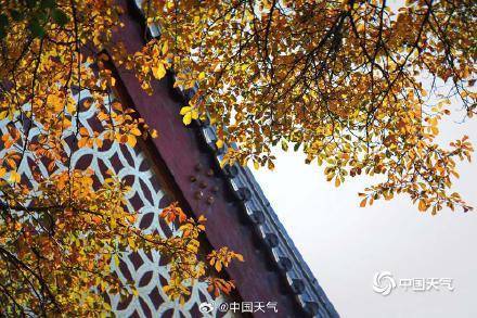 The autumn charm of the Summer Palace in Beijing is strong, and the ancient architecture and colorful leaves complement each other beautifully(图5)