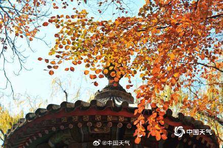 The autumn charm of the Summer Palace in Beijing is strong, and the ancient architecture and colorful leaves complement each other beautifully(图6)