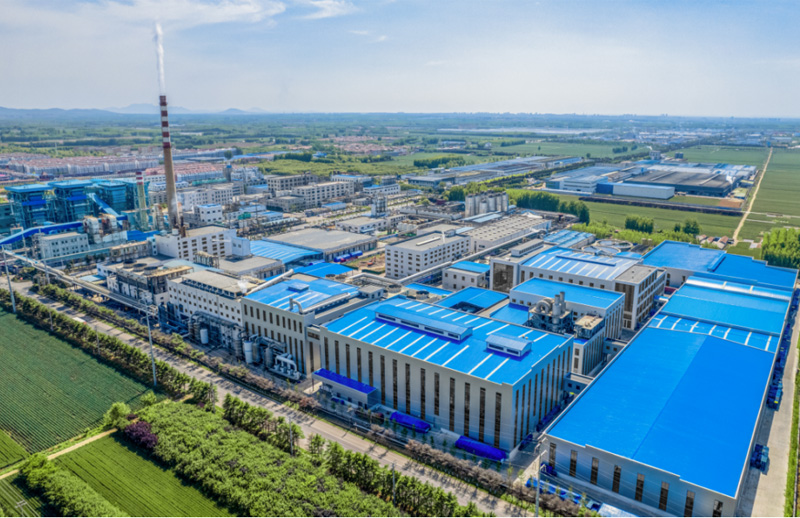 Dongxiao Biotechnology Co., Ltd(图1)