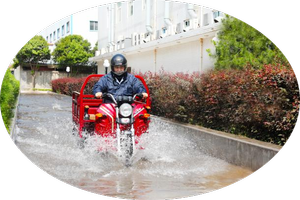 图片12 CCIC West Testing Company Limited(图12)