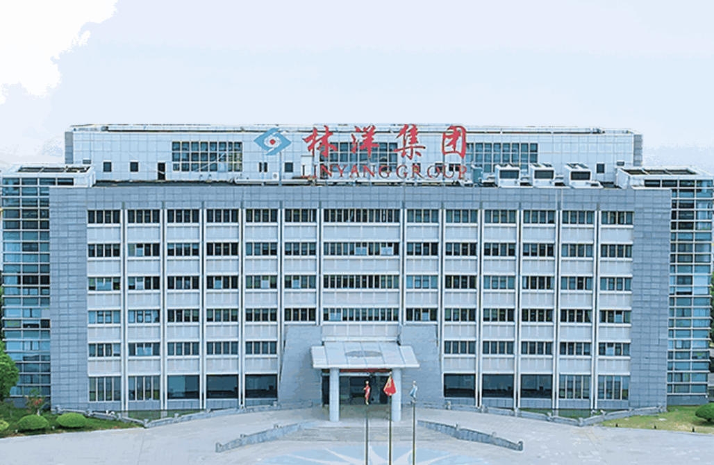 Jiangsu Linyang Energy Co., Ltd.(图1)