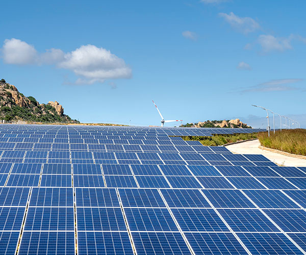 Purelight Ecological Environment Group Co., Ltd., Purelight Ecological Environment Group Co., Ltd.,