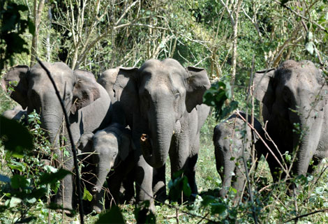 Cant-miss attractions along the China-Laos railway: China section(图4)